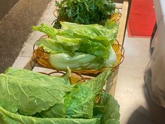 -蘑统田下·野生菌火锅