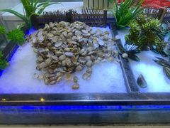 -李氏圣鲸大型自助餐