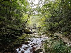 -浙西天池景区
