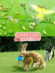 -萌宠亲子动物乐园(槐房万达店)