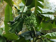 -天芳悦潭度假村温泉