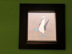 -SeekSeeking咖啡专门店(堰塘街店)