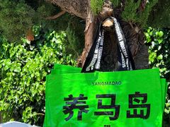 -养马岛旅游度假区