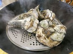 桑拿蚝-蚝专家(北滘店)