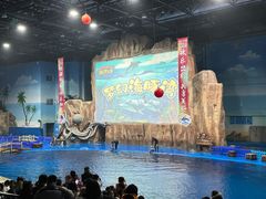 -华夏文旅海洋公园