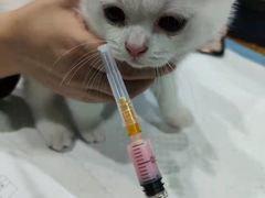 -严国平动物医院(德政总院)