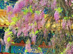 -北京国子监胡同