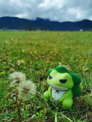 -纳帕海依拉草原
