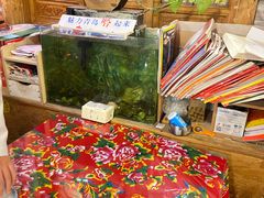 -闯关东东北农家菜(崂山石老人店)