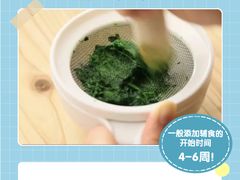 -小蝌蚪·寻·月嫂(普陀总部)