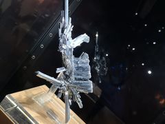 -中国地质大学逸夫博物馆