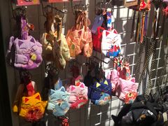 -猫咪博物馆(顶澳仔猫街店)