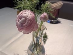 -芙蓉堂(武汉天地店)
