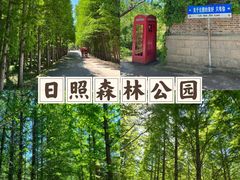 -日照海滨国家森林公园