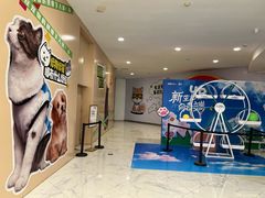 -凯德MALL(望京店)