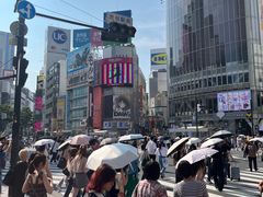 -涩谷全向十字路口