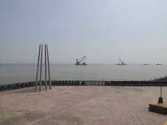 -上海滨江森林公园
