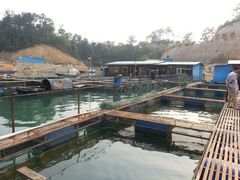 河源万绿湖河鱼基地-合和美食馆