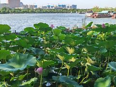 -济南大明湖景区
