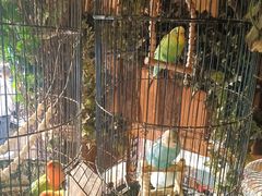 -西西里轰趴日租聚会别墅·团建拓展