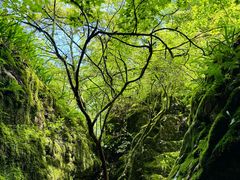 -刘伯温故里景区百丈漈