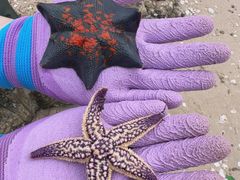 -石岛赤山风景区