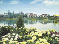 -三圣花乡旅游区