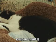 -学习谷日语培训日本留学·多语种外语教学(海淀人大分部)