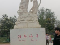 -曹州牡丹园