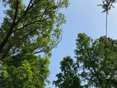 -白水寺森林公园