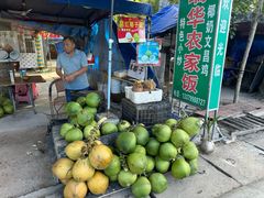 -东郊椰林