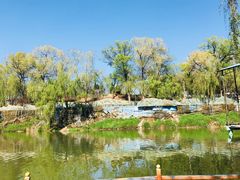 -东方巨龟苑景区