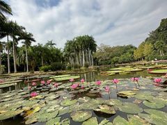 -中国科学院西双版纳热带植物园