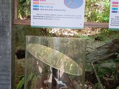 -青青世界