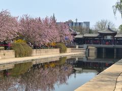 -元大都城垣遗址公园