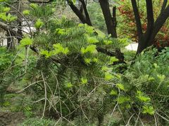 -国家植物园南园