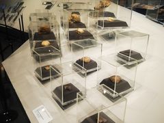 -北京周口店北京人遗址博物馆