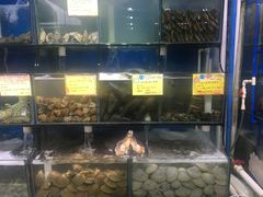 -蚝专家(北滘店)
