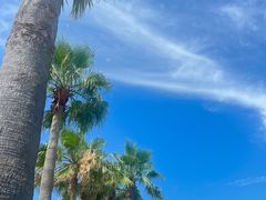 -黄金海岸环岛路