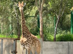 -水上乐园·欢乐世界