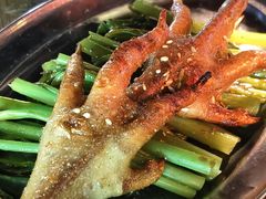 -八一湛江生蚝(文明东路总店)