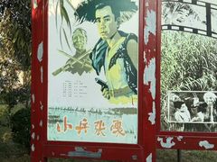 -白洋淀景区
