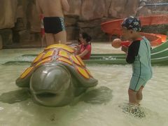 -杭州开元森泊度假乐园