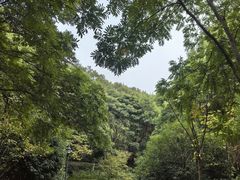 -南山风景名胜区