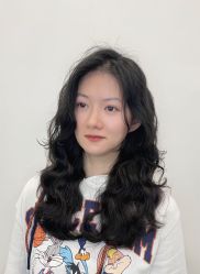 -YESIDO椰岛造型