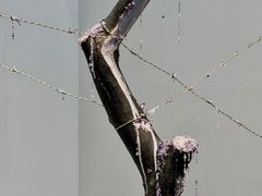 -成都许燎源现代设计艺术博物馆