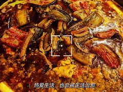 -金海椒罐罐鲢鱼(东方桂苑店)