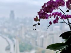 -上海外滩茂悦大酒店