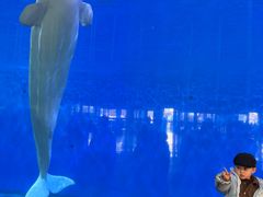 -泉城欧乐堡海洋极地世界