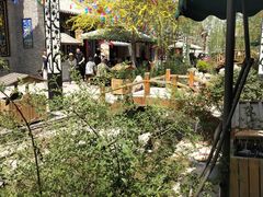 -渭南桃花源民俗文化园